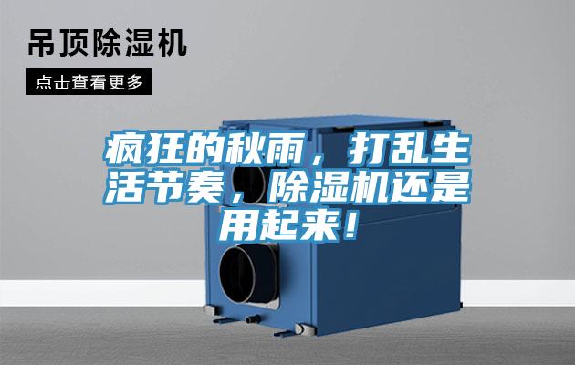 瘋狂的秋雨，打亂生活節奏，91看片网站還是用起來！