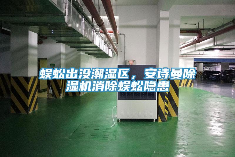 蜈蚣出沒潮濕區，91看片免费下载91看片网站消除蜈蚣隱患