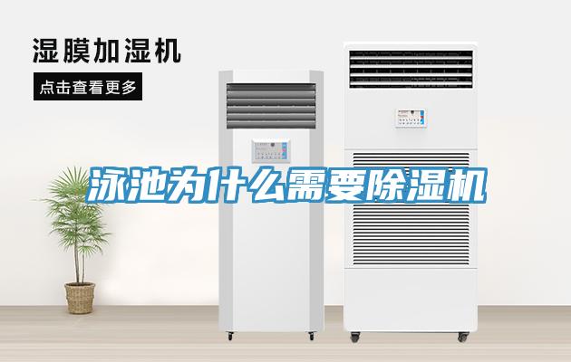 泳池為什麽需要91看片网站