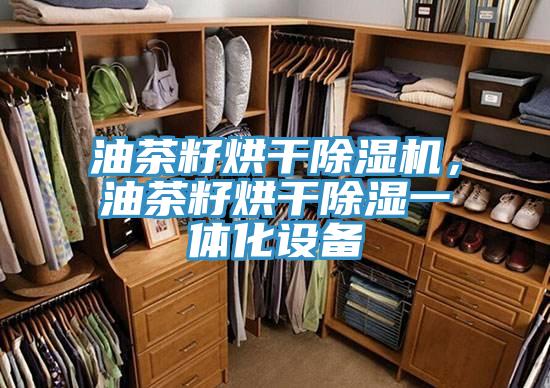 油茶籽烘幹91看片网站，油茶籽烘幹除濕一體化設備