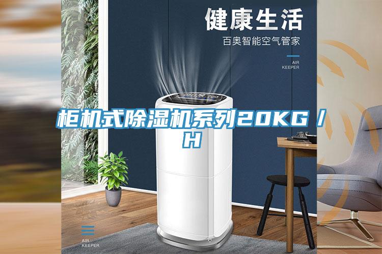 櫃機式91看片网站係列20KG／H