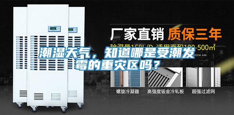 潮濕天氣，知道哪是受潮發黴的重災區嗎？