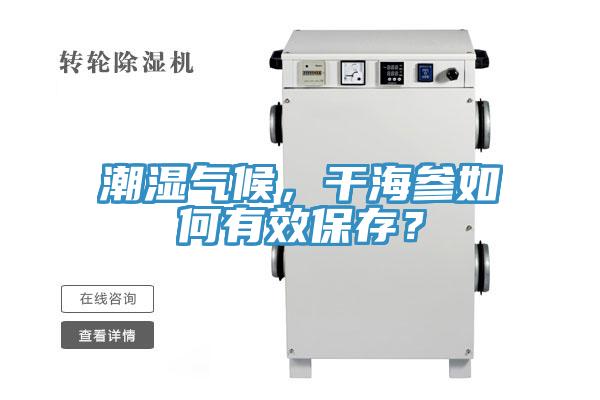 潮濕氣候，幹海參如何有效保存？