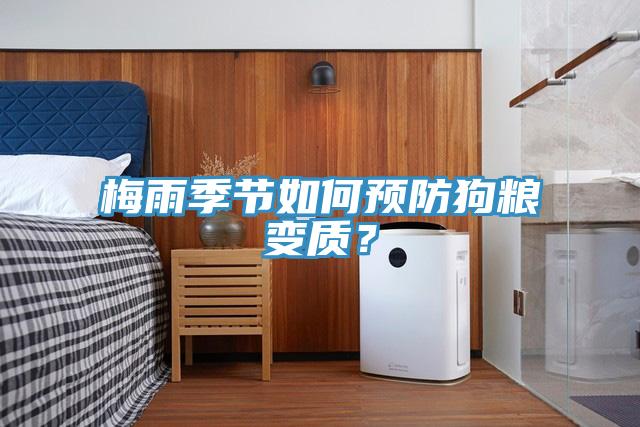 梅雨季節如何預防狗糧變質？