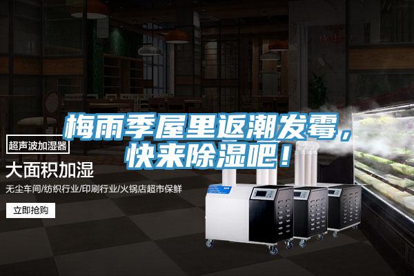 梅雨季屋裏返潮發黴，快來除濕吧！