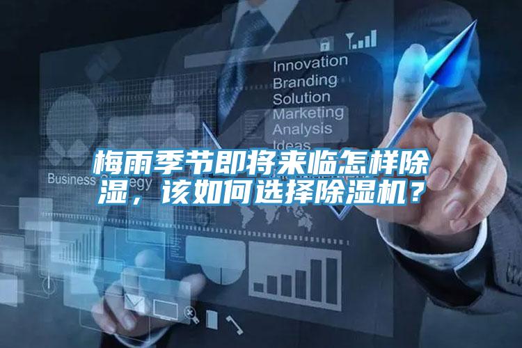 梅雨季節即將來臨怎樣除濕，該如何選擇91看片网站？