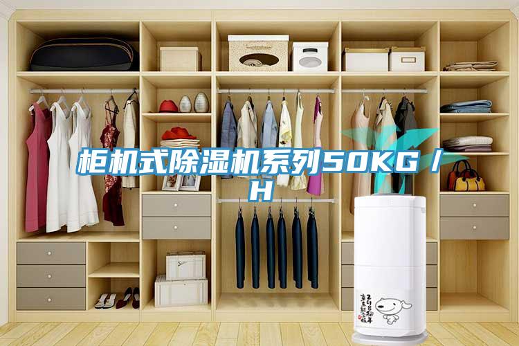 櫃機式91看片网站係列50KG／H