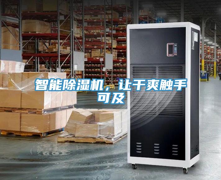 智能91看片网站，讓幹爽觸手可及