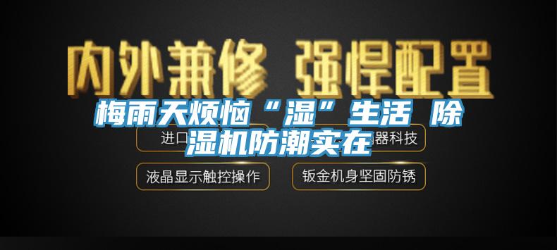 梅雨天煩惱“濕”生活 91看片网站防潮實在