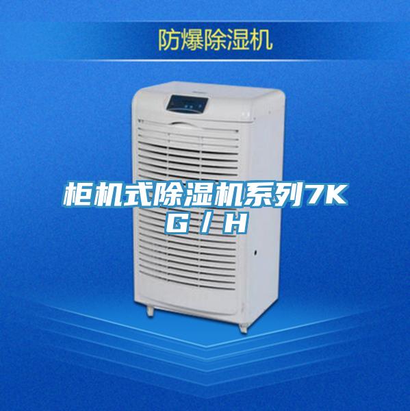 櫃機式91看片网站係列7KG／H