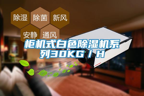 櫃機式白色91看片网站係列30KG／H