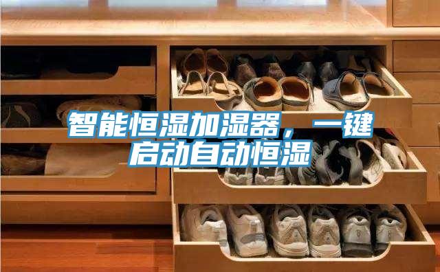 智能恒濕加濕器，一鍵啟動自動恒濕