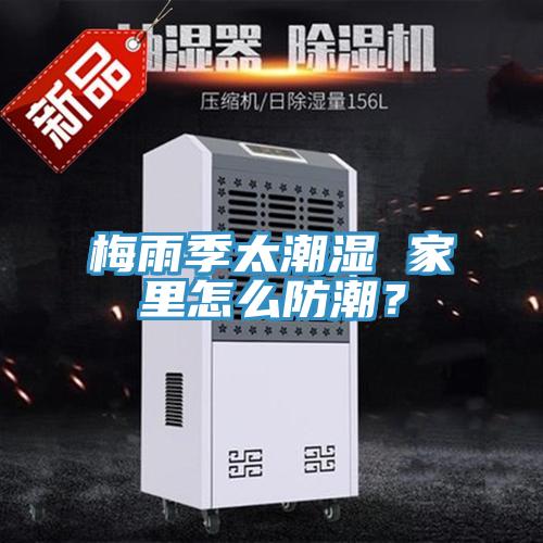 梅雨季太潮濕 家裏怎麽防潮？