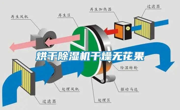 烘幹91看片网站幹燥無花果