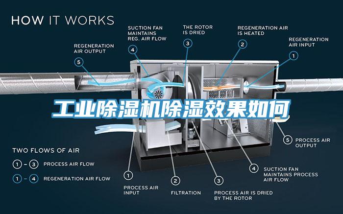 工業91看片网站除濕效果如何