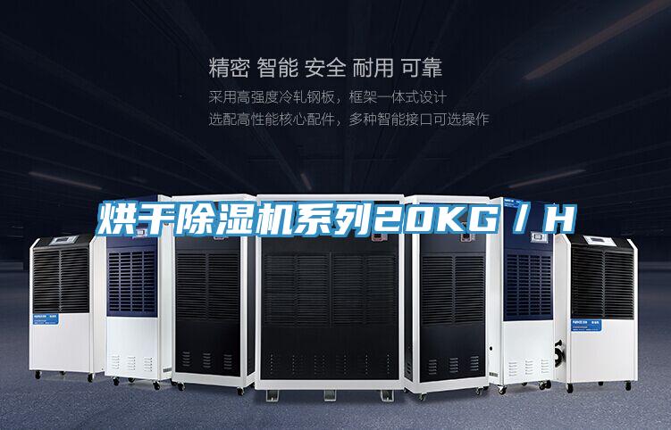 烘幹91看片网站係列20KG／H