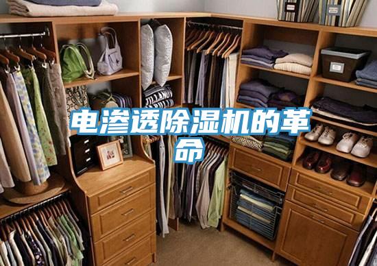 電滲透91看片网站的革命