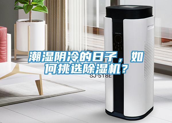 潮濕陰冷的日子，如何挑選91看片网站？