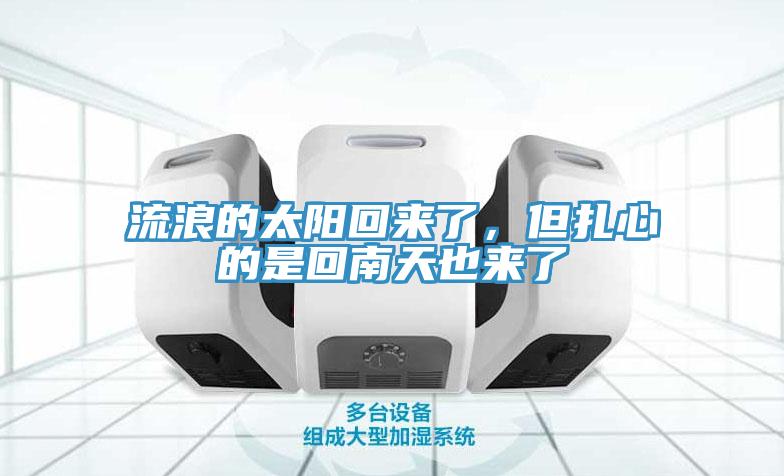 流浪的太陽回來了，但紮心的是回南天也來了