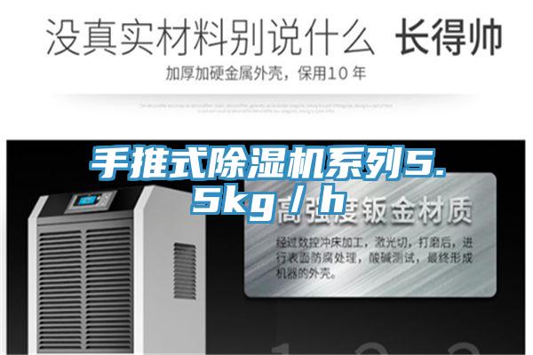 手推式91看片网站係列5.5kg／h