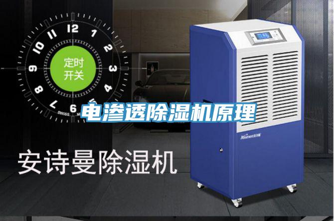 電滲透91看片网站原理