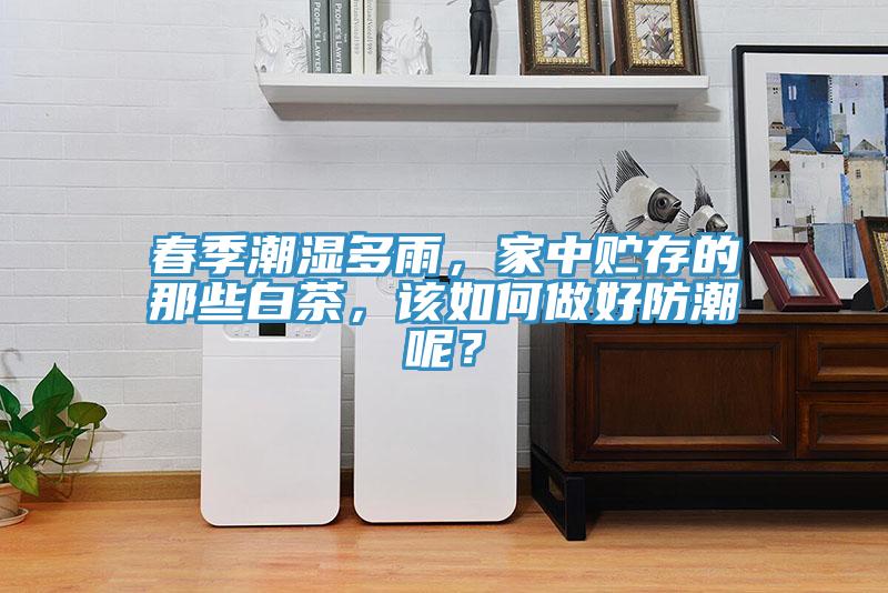 春季潮濕多雨，家中貯存的那些白茶，該如何做好防潮呢？