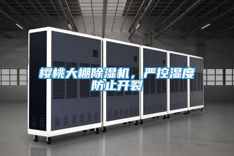 櫻桃大棚91看片网站，嚴控濕度防止開裂