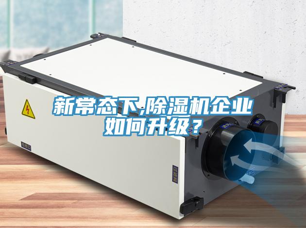 新常態下,91看片网站企業如何升級？