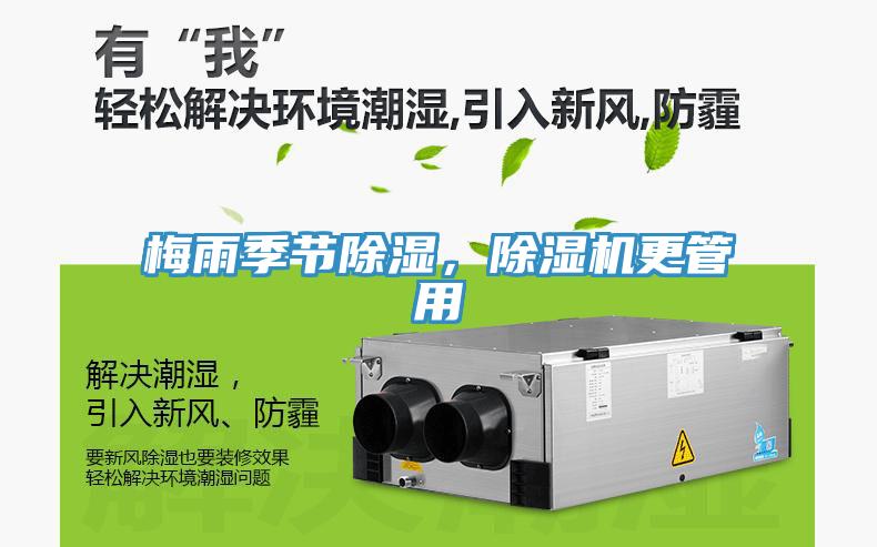 梅雨季節除濕，91看片网站更管用