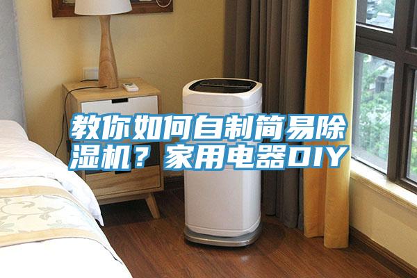 教你如何自製簡易91看片网站？家用電器DIY