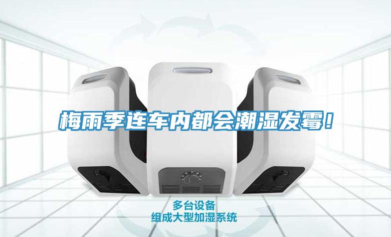 梅雨季連車內都會潮濕發黴！