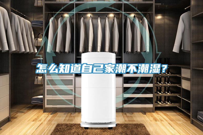 怎麽知道自己家潮不潮濕？