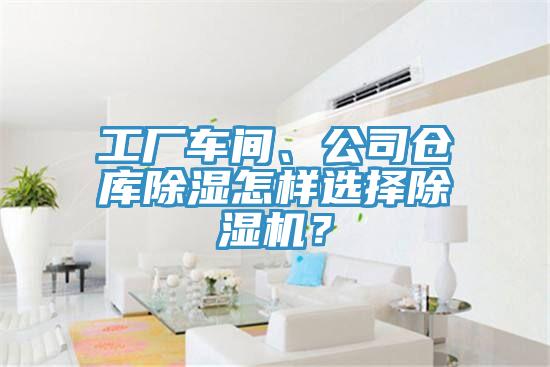 工廠車間、公司倉庫除濕怎樣選擇91看片网站？