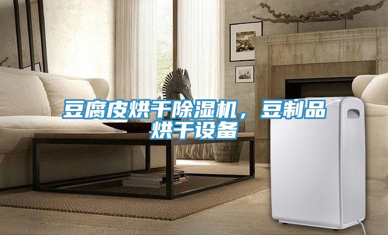 豆腐皮烘幹91看片网站，豆製品烘幹設備