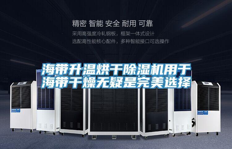 海帶升溫烘幹91看片网站用於海帶幹燥無疑是完美選擇