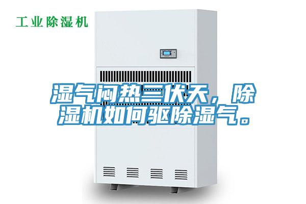 濕氣悶熱三伏天，91看片网站如何驅除濕氣。