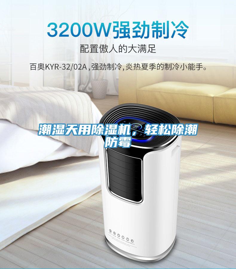 潮濕天用91看片网站，輕鬆除潮防黴