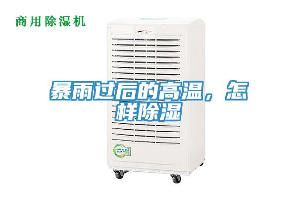 暴雨過後的高溫，怎樣除濕