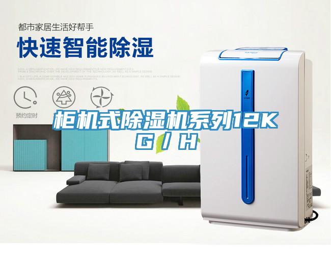 櫃機式91看片网站係列12KG／H