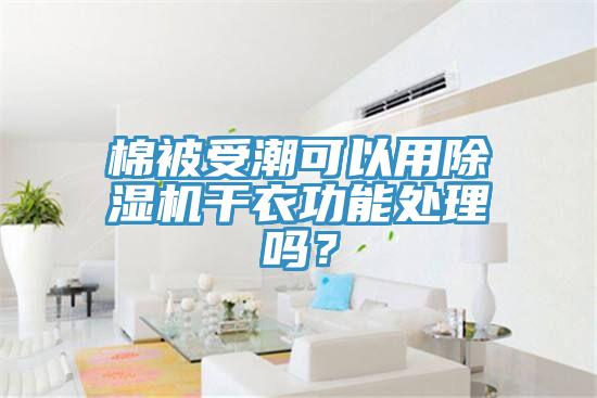 棉被受潮可以用91看片网站幹衣功能處理嗎？
