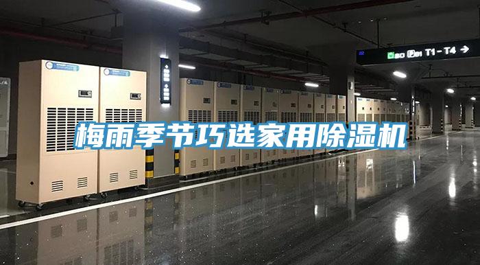 梅雨季節巧選家用91看片网站