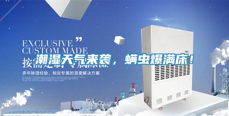 潮濕天氣來襲，蟎蟲爆滿床！