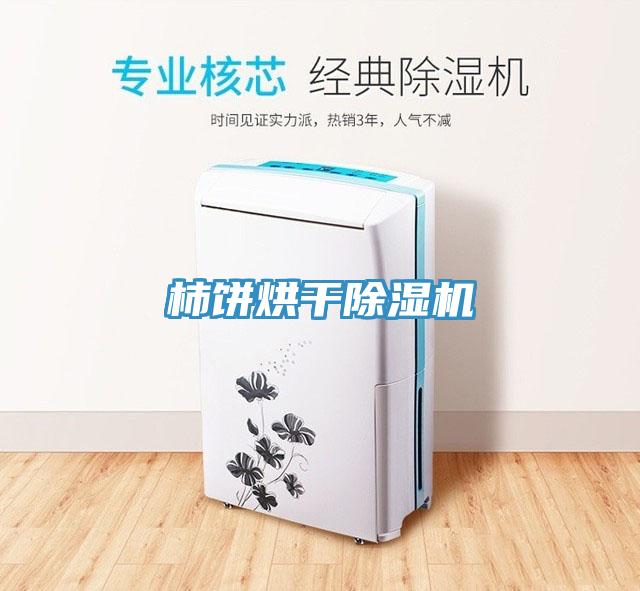 柿餅烘幹91看片网站