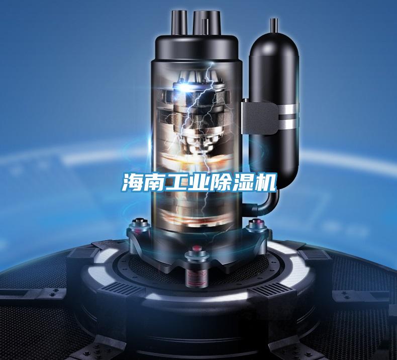 海南工業91看片网站