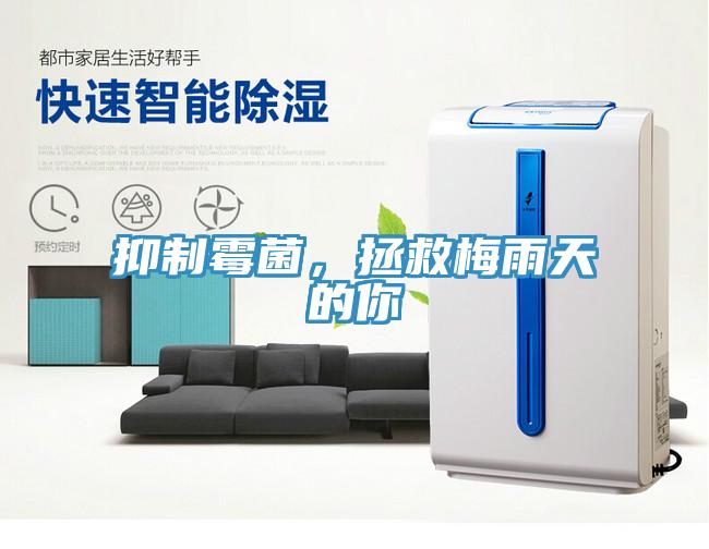 抑製黴菌，拯救梅雨天的你