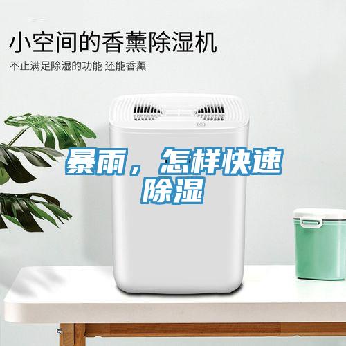 暴雨，怎樣快速除濕