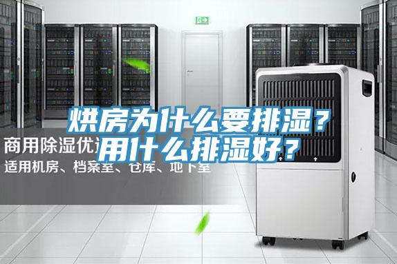 烘房為什麽要排濕？用什麽排濕好？