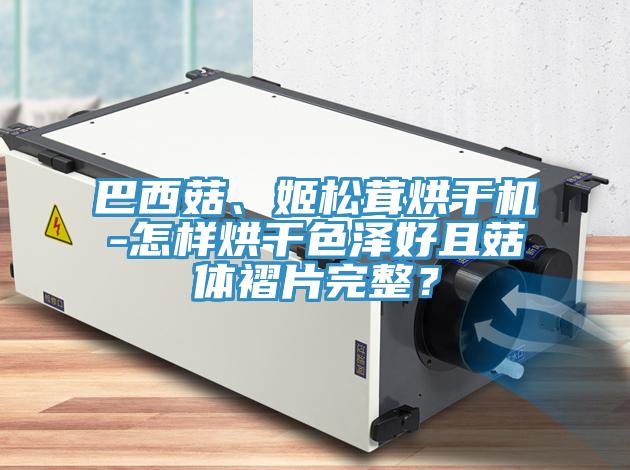 巴西菇、姬鬆茸烘幹機-怎樣烘幹色澤好且菇體褶片完整？
