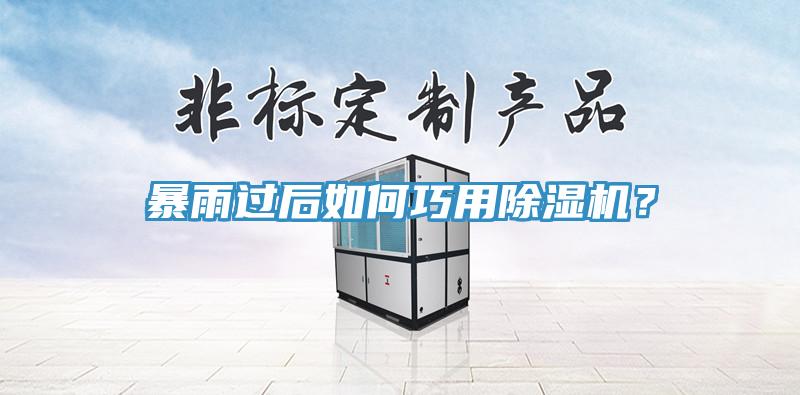 暴雨過後如何巧用91看片网站？