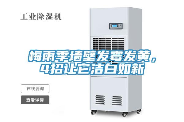 梅雨季牆壁發黴發黃，4招讓它潔白如新